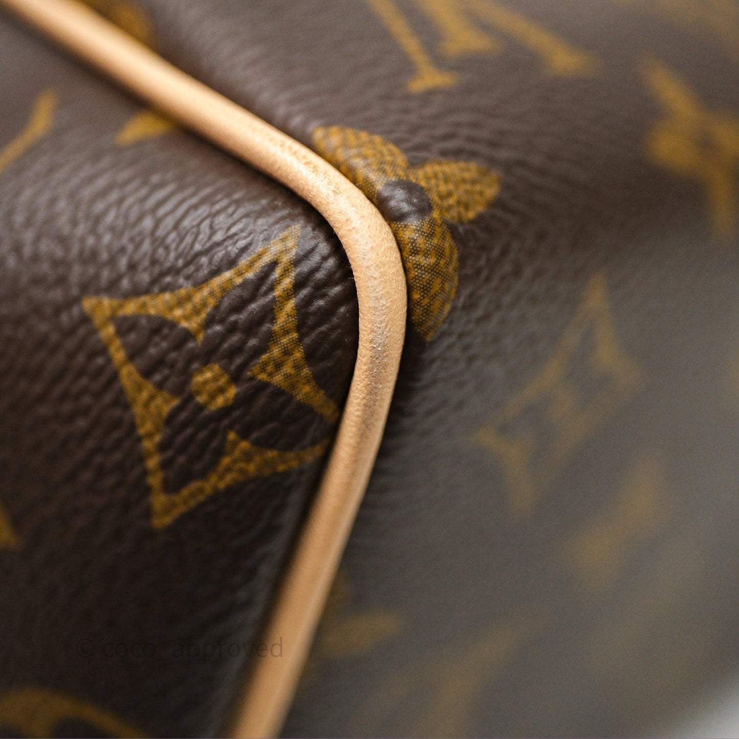 Louis Vuitton Speedy Bandoulière 20 Monogram