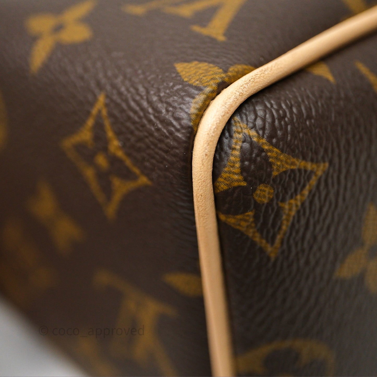 Louis Vuitton Speedy Bandoulière 20 Monogram
