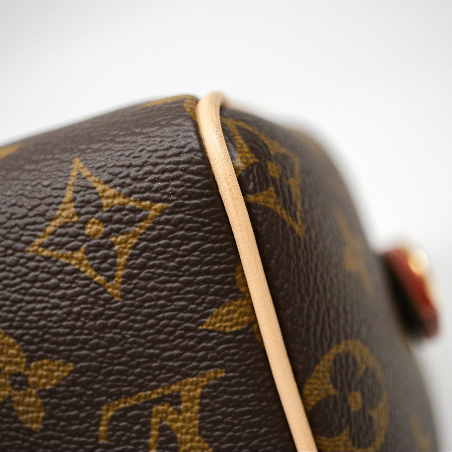 Louis Vuitton Speedy Bandoulière 20 Monogram