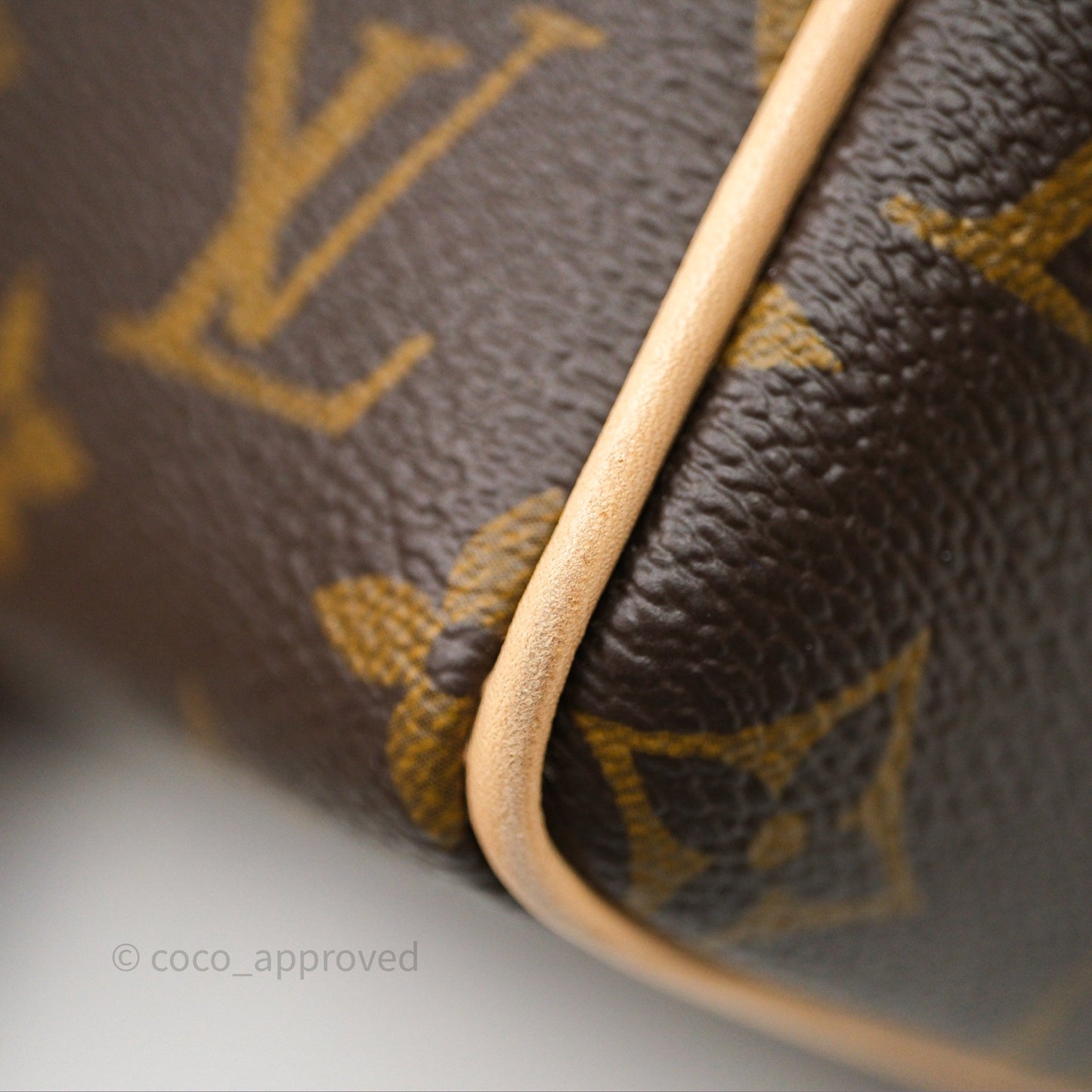 Louis Vuitton Speedy Bandoulière 20 Monogram