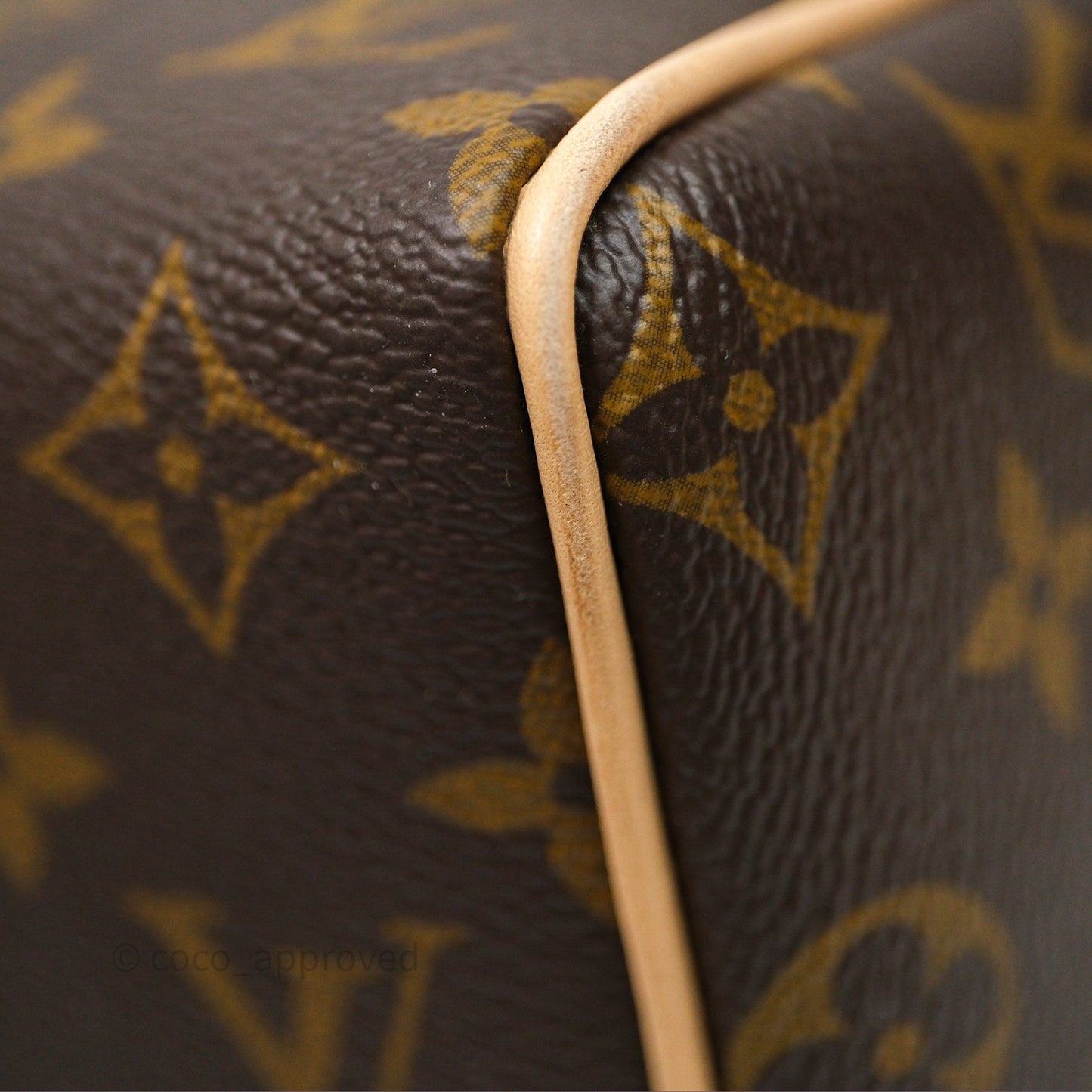 Louis Vuitton Speedy Bandoulière 20 Monogram