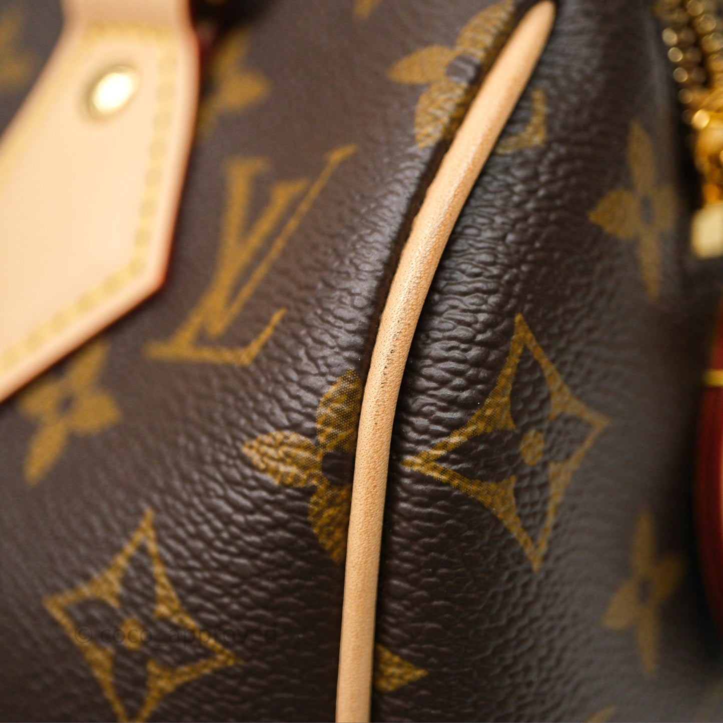 Louis Vuitton Speedy Bandoulière 20 Monogram
