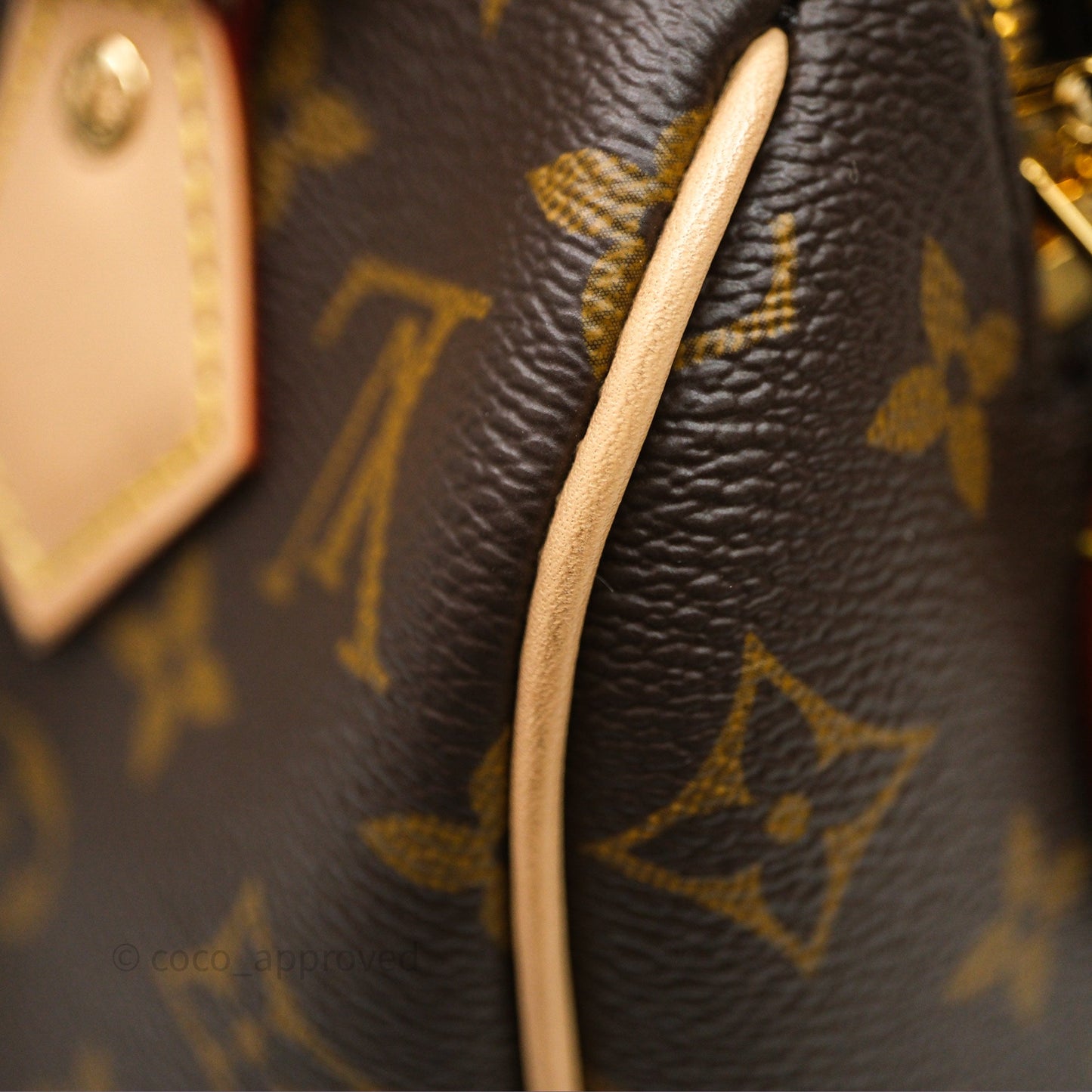Louis Vuitton Speedy Bandoulière 20 Monogram