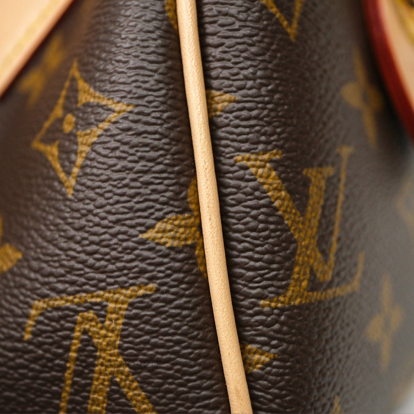 Louis Vuitton Speedy Bandoulière 20 Monogram