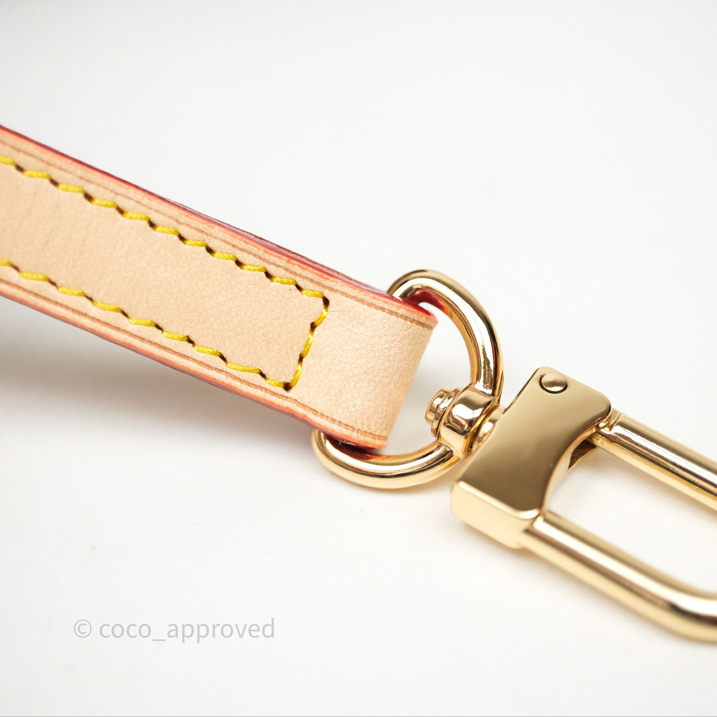 Louis Vuitton Speedy Bandoulière 20 Monogram