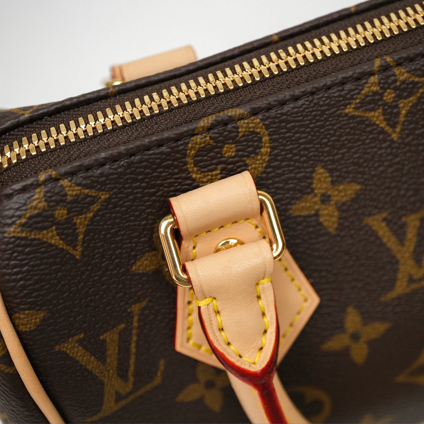 Louis Vuitton Speedy Bandoulière 20 Monogram