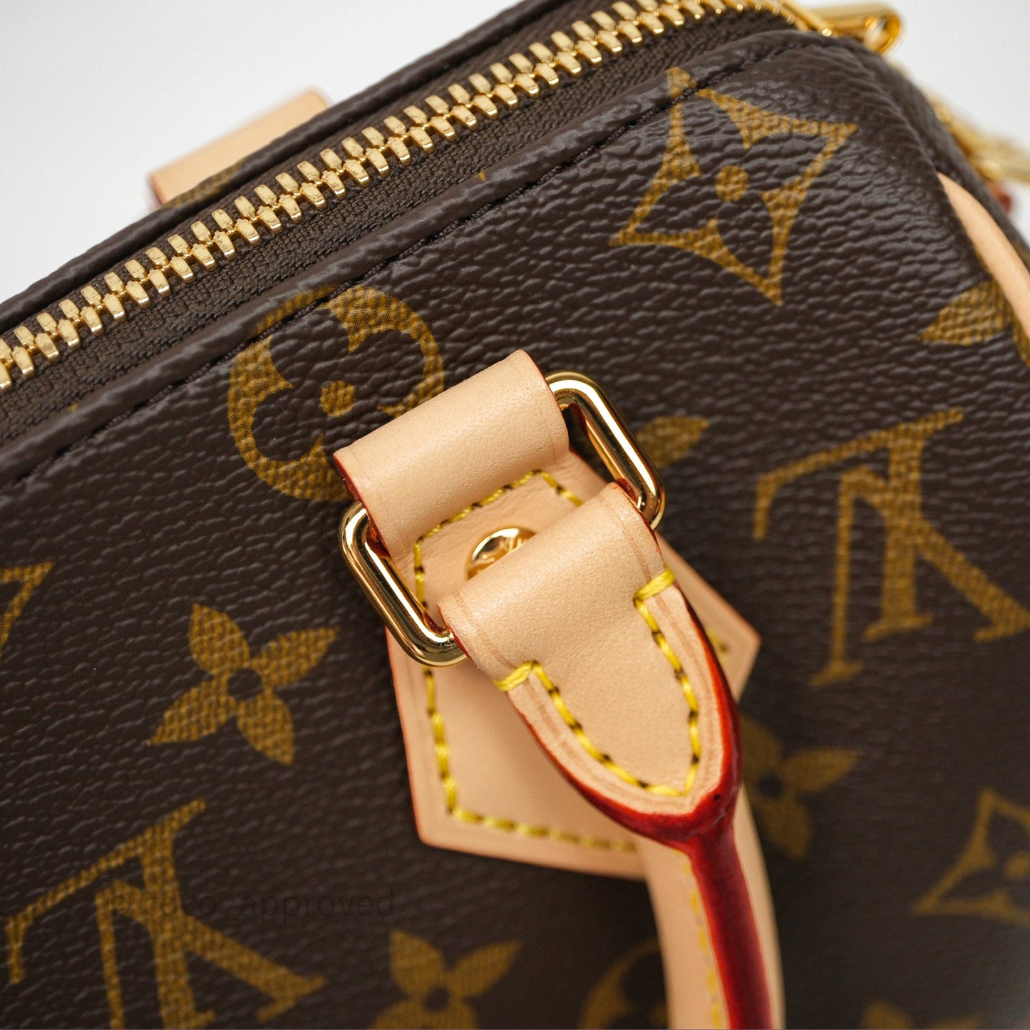 Louis Vuitton Speedy Bandoulière 20 Monogram