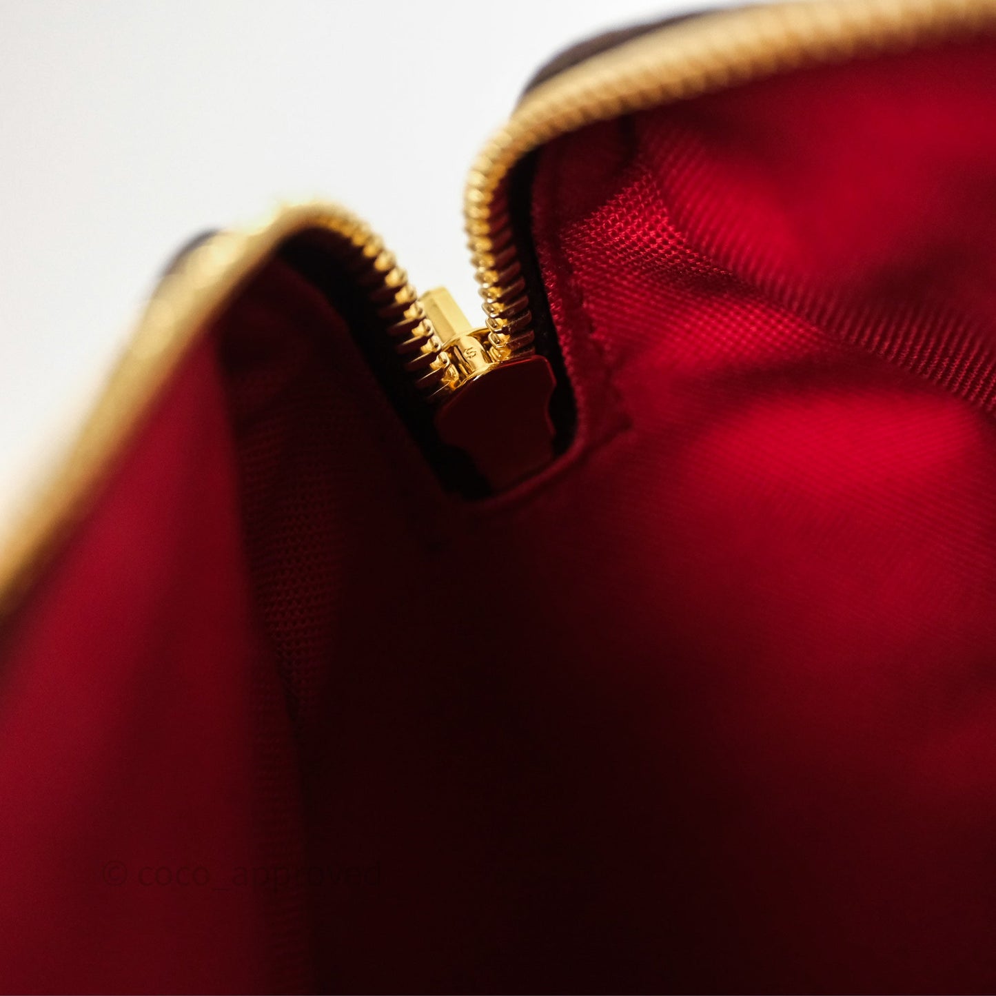 Louis Vuitton Speedy Bandoulière 20 Monogram