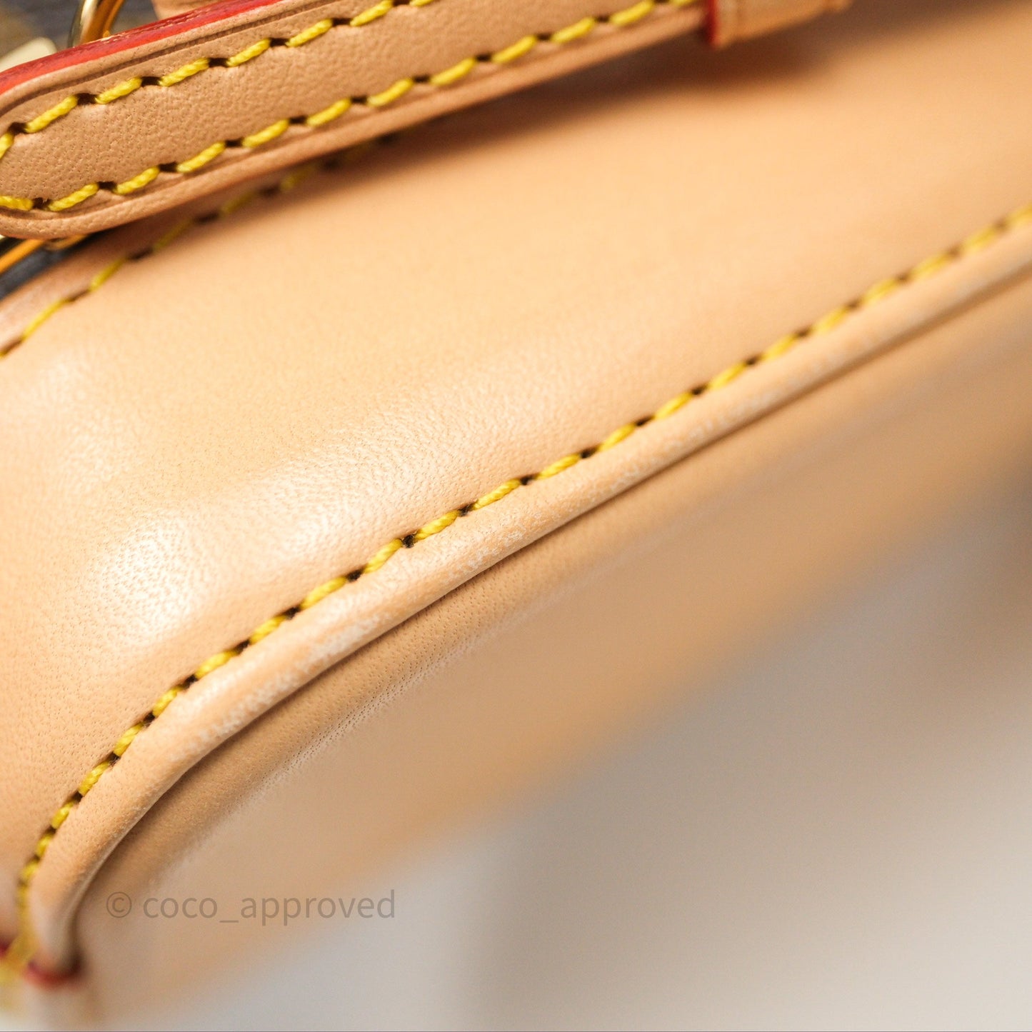 Louis Vuitton Alma Backpack Monogram Gold Hardware