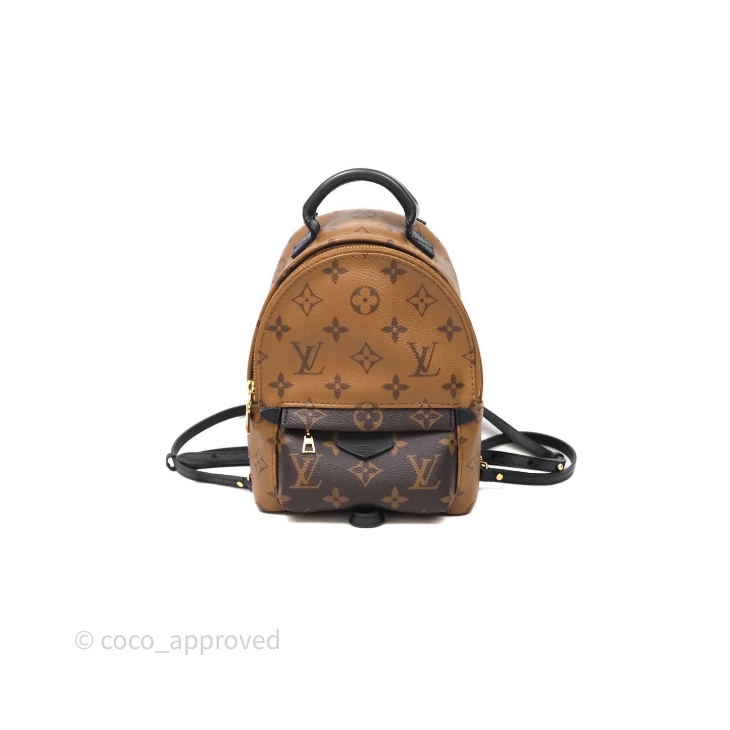 Louis Vuitton Mini Palm Springs Backpack Reverse Monogram