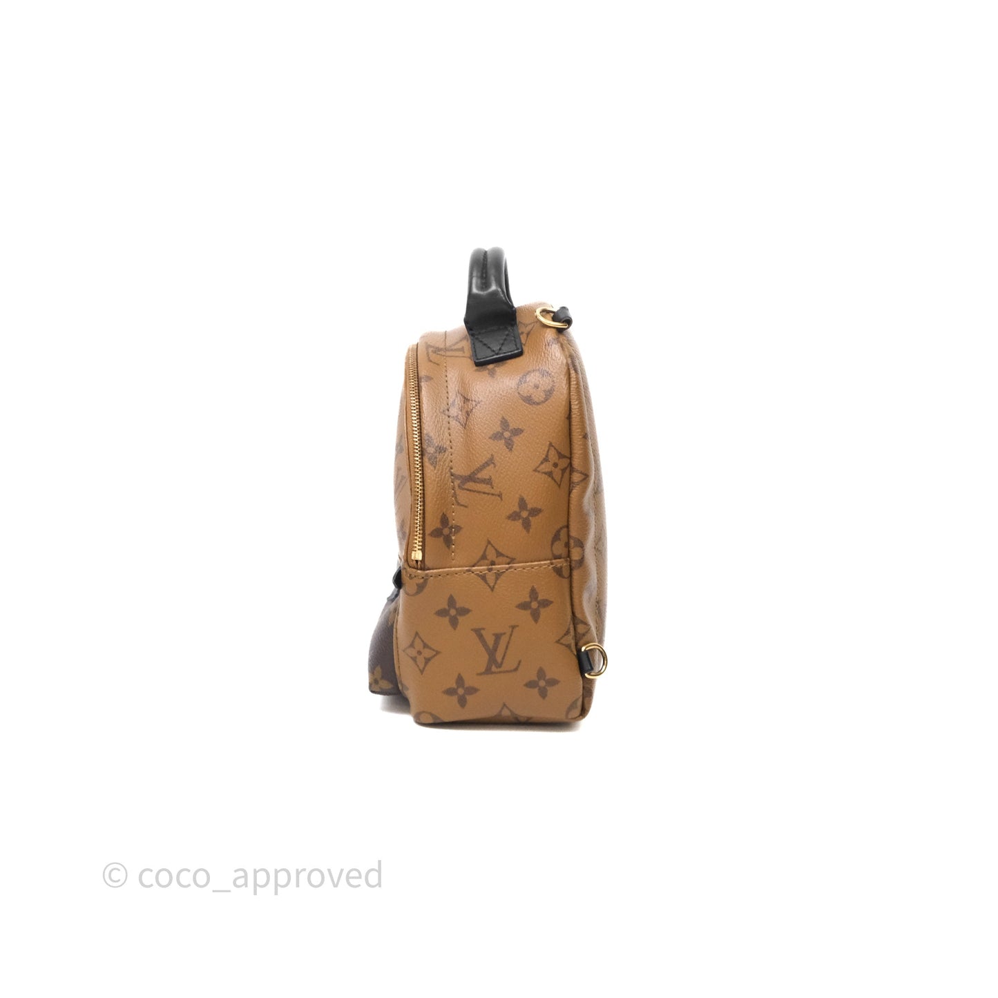 Louis Vuitton Mini Palm Springs Backpack Reverse Monogram
