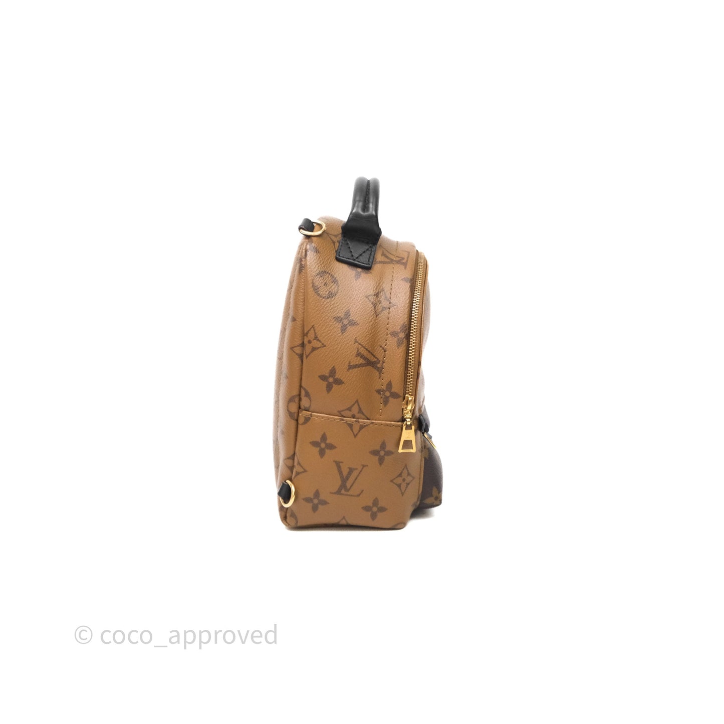 Louis Vuitton Mini Palm Springs Backpack Reverse Monogram