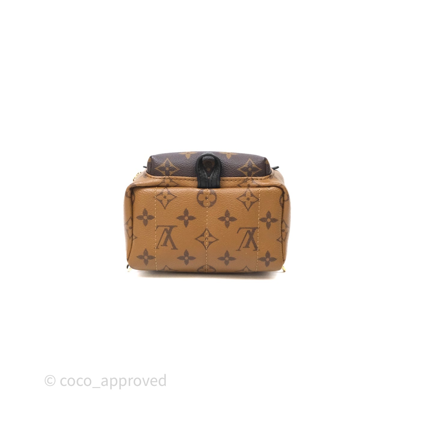Louis Vuitton Mini Palm Springs Backpack Reverse Monogram
