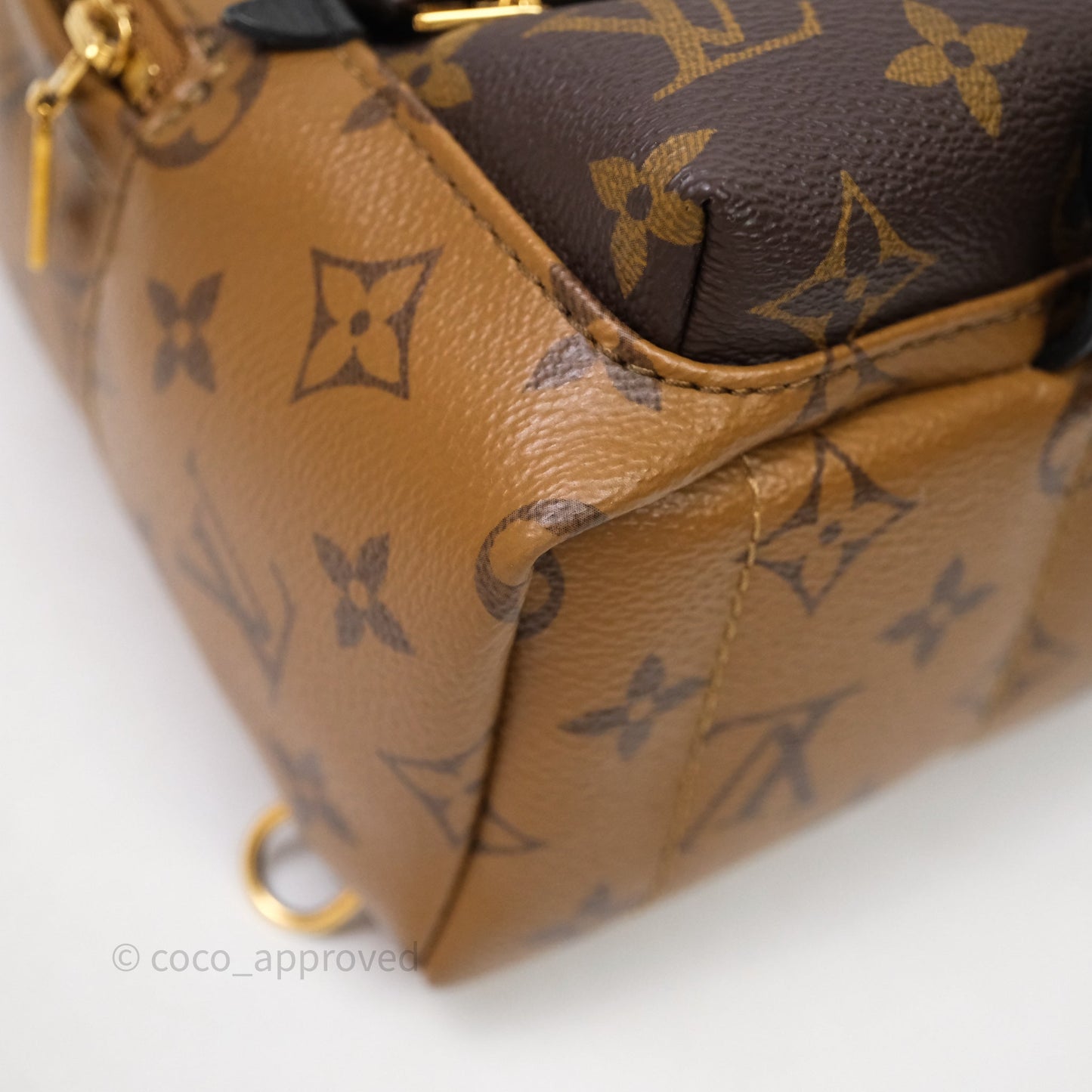 Louis Vuitton Mini Palm Springs Backpack Reverse Monogram