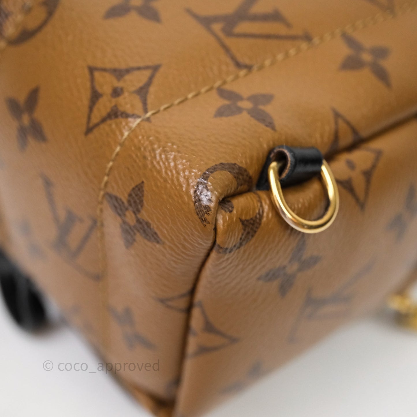 Louis Vuitton Mini Palm Springs Backpack Reverse Monogram