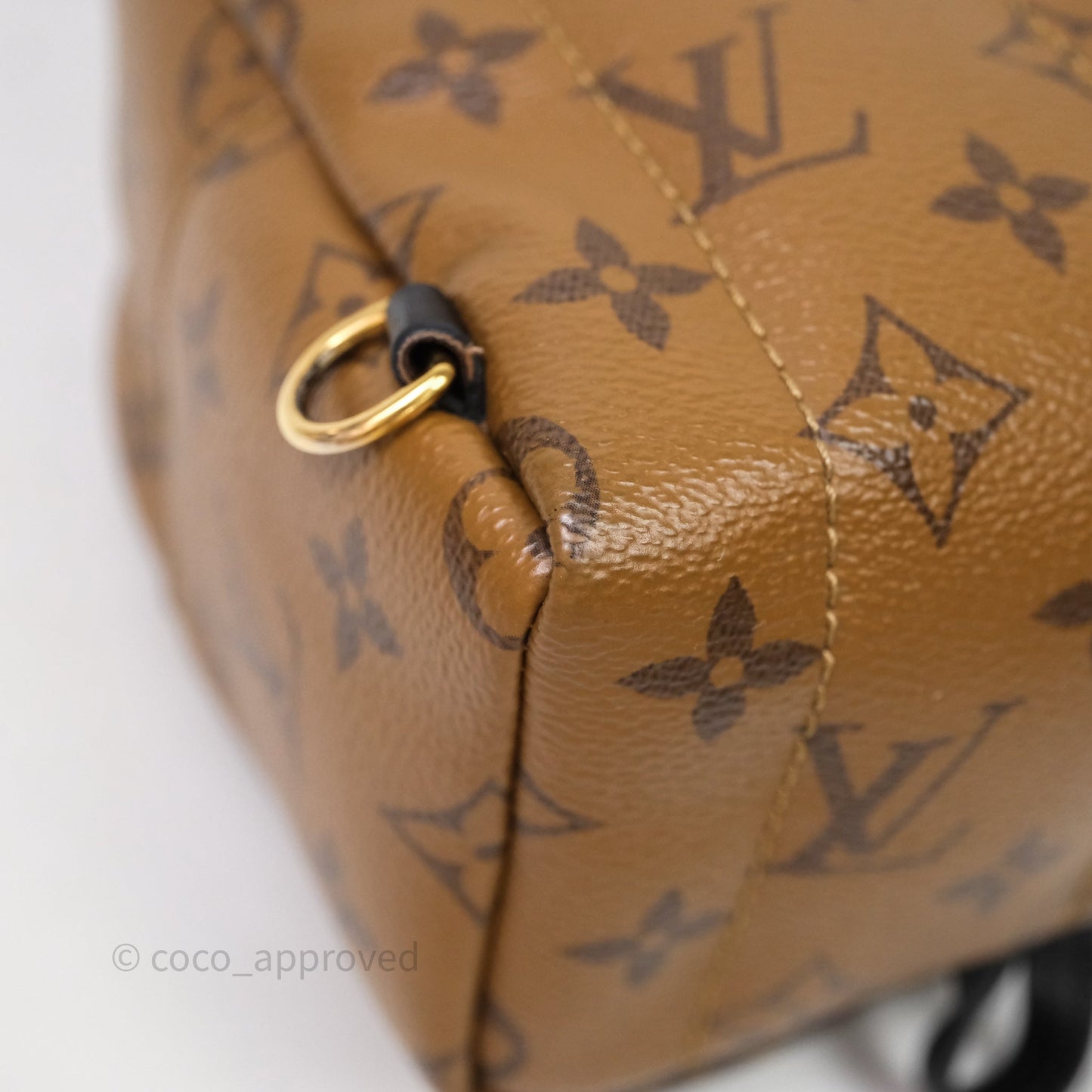 Louis Vuitton Mini Palm Springs Backpack Reverse Monogram