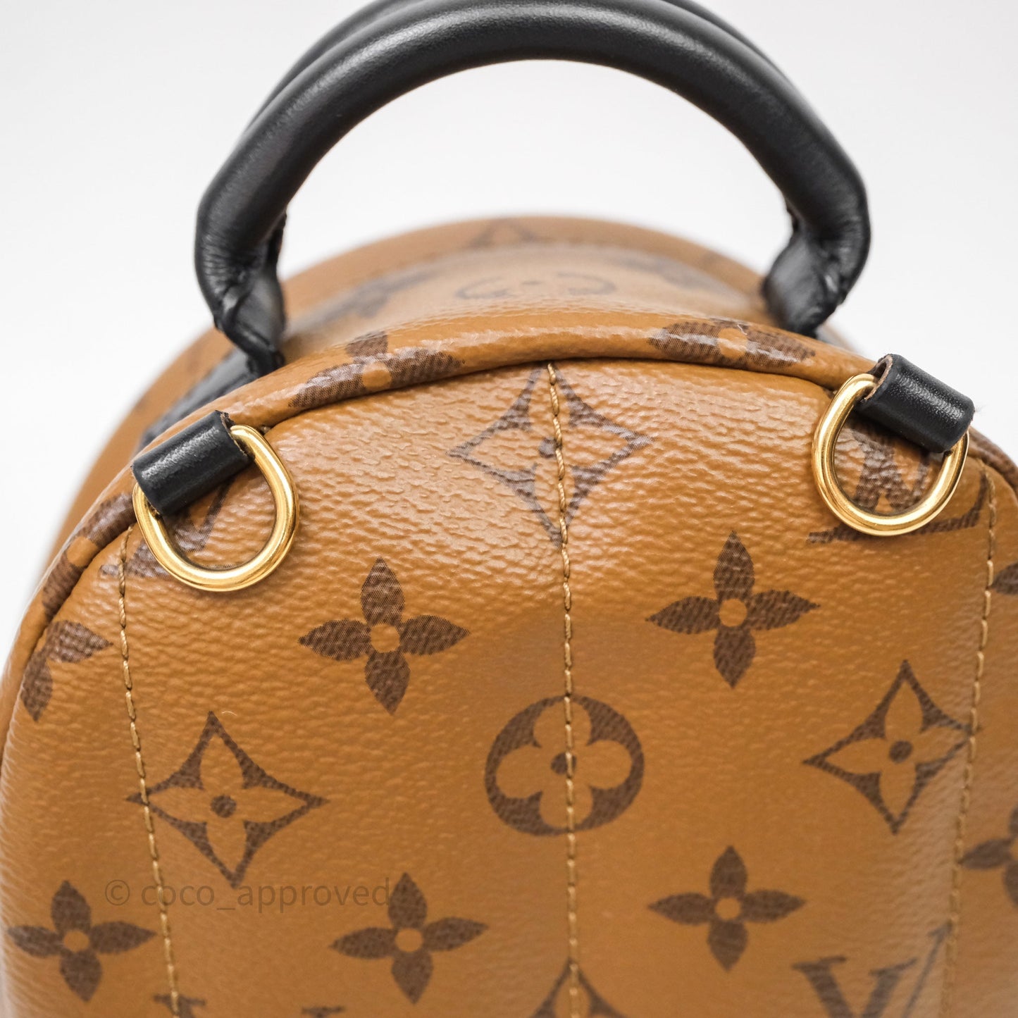 Louis Vuitton Mini Palm Springs Backpack Reverse Monogram