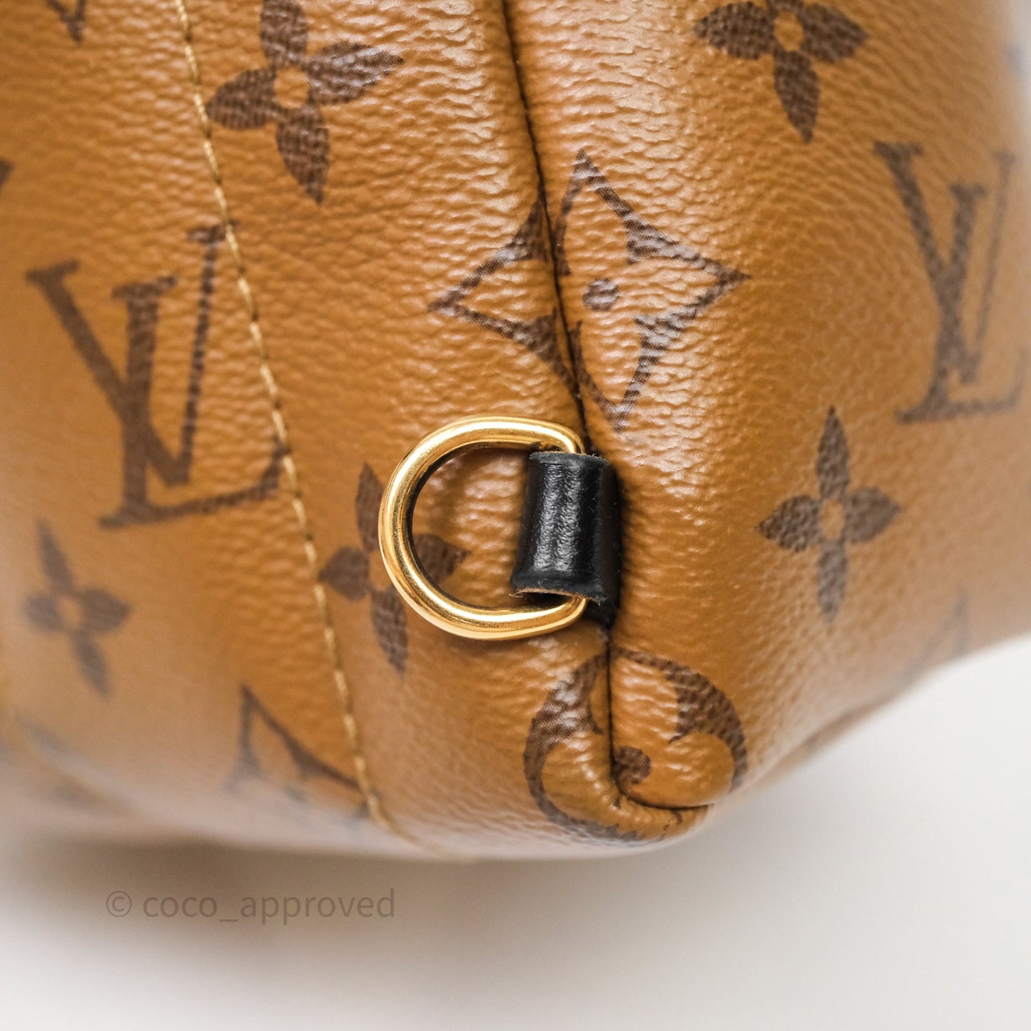 Louis Vuitton Mini Palm Springs Backpack Reverse Monogram