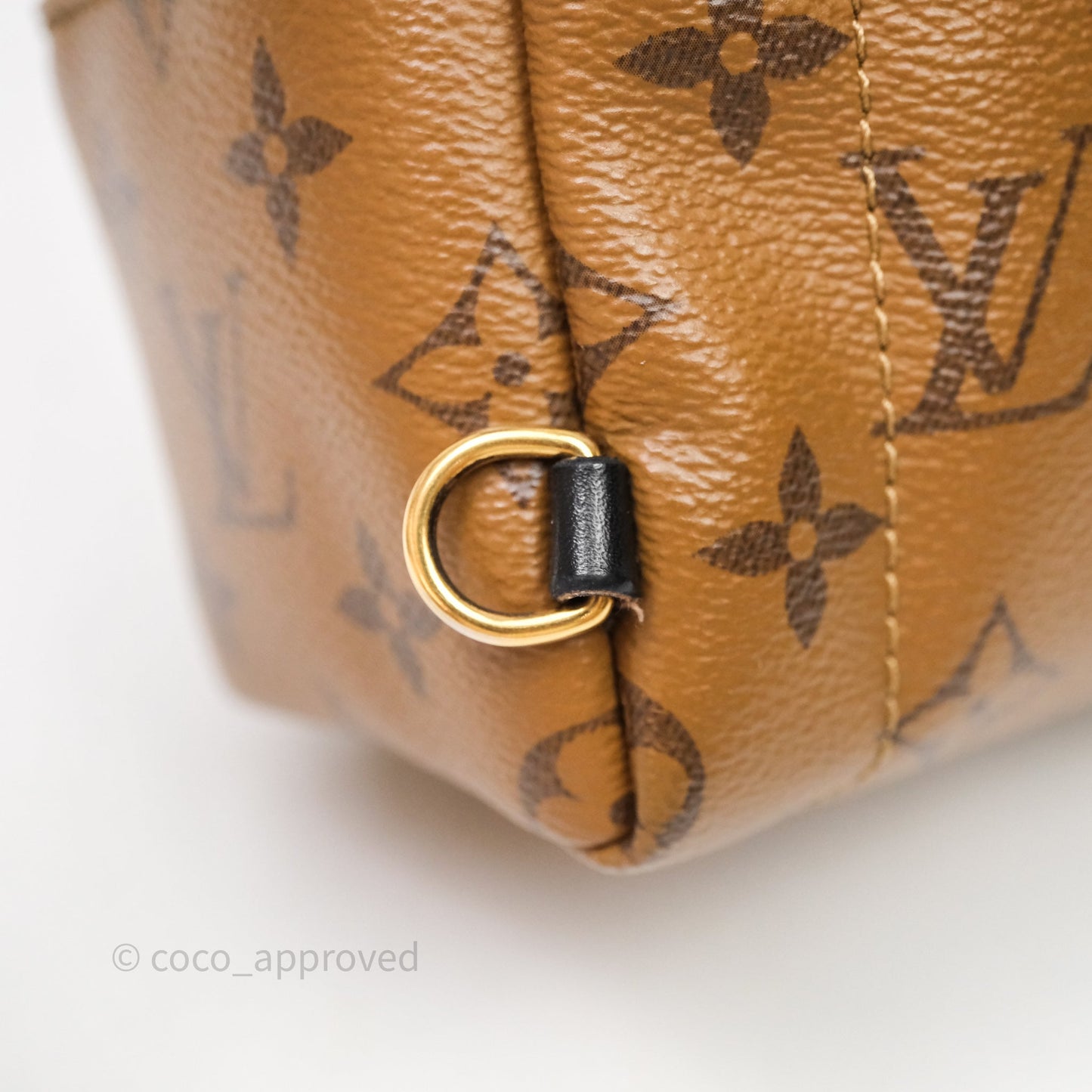 Louis Vuitton Mini Palm Springs Backpack Reverse Monogram