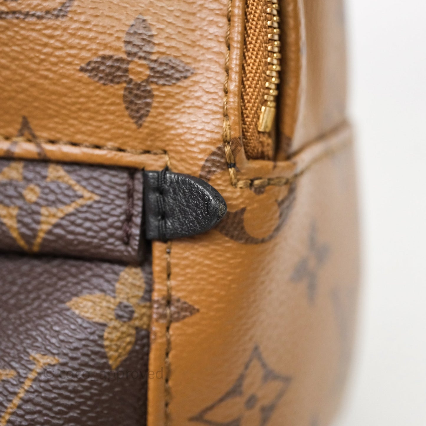 Louis Vuitton Mini Palm Springs Backpack Reverse Monogram