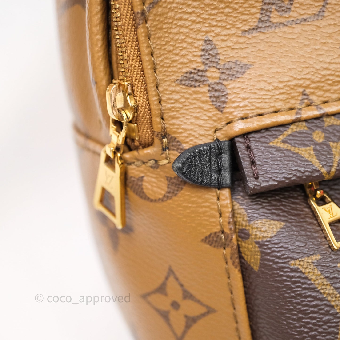 Louis Vuitton Mini Palm Springs Backpack Reverse Monogram