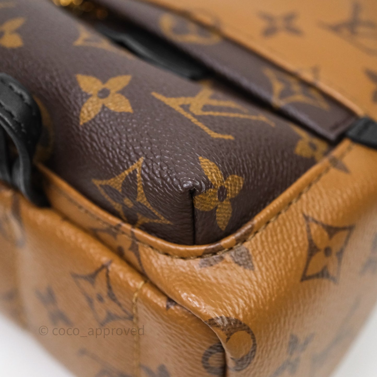Louis Vuitton Mini Palm Springs Backpack Reverse Monogram