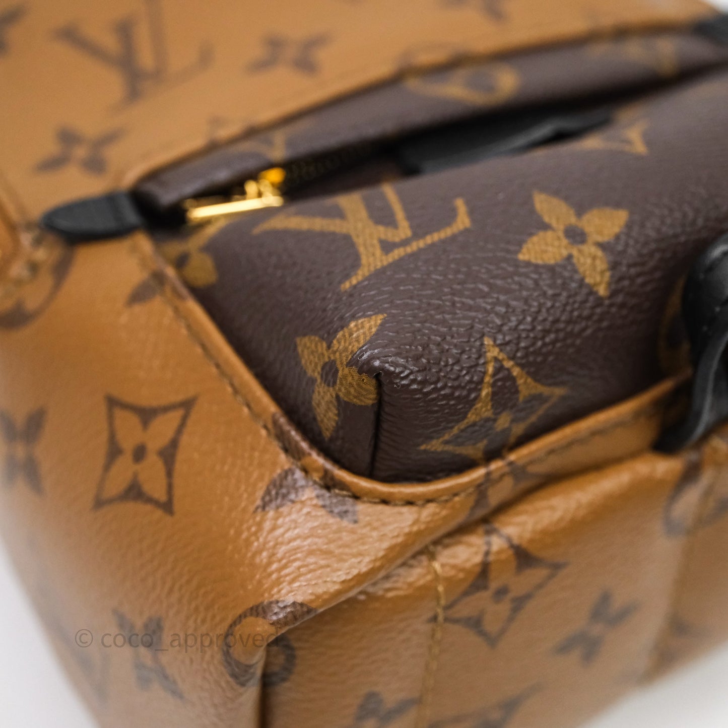 Louis Vuitton Mini Palm Springs Backpack Reverse Monogram
