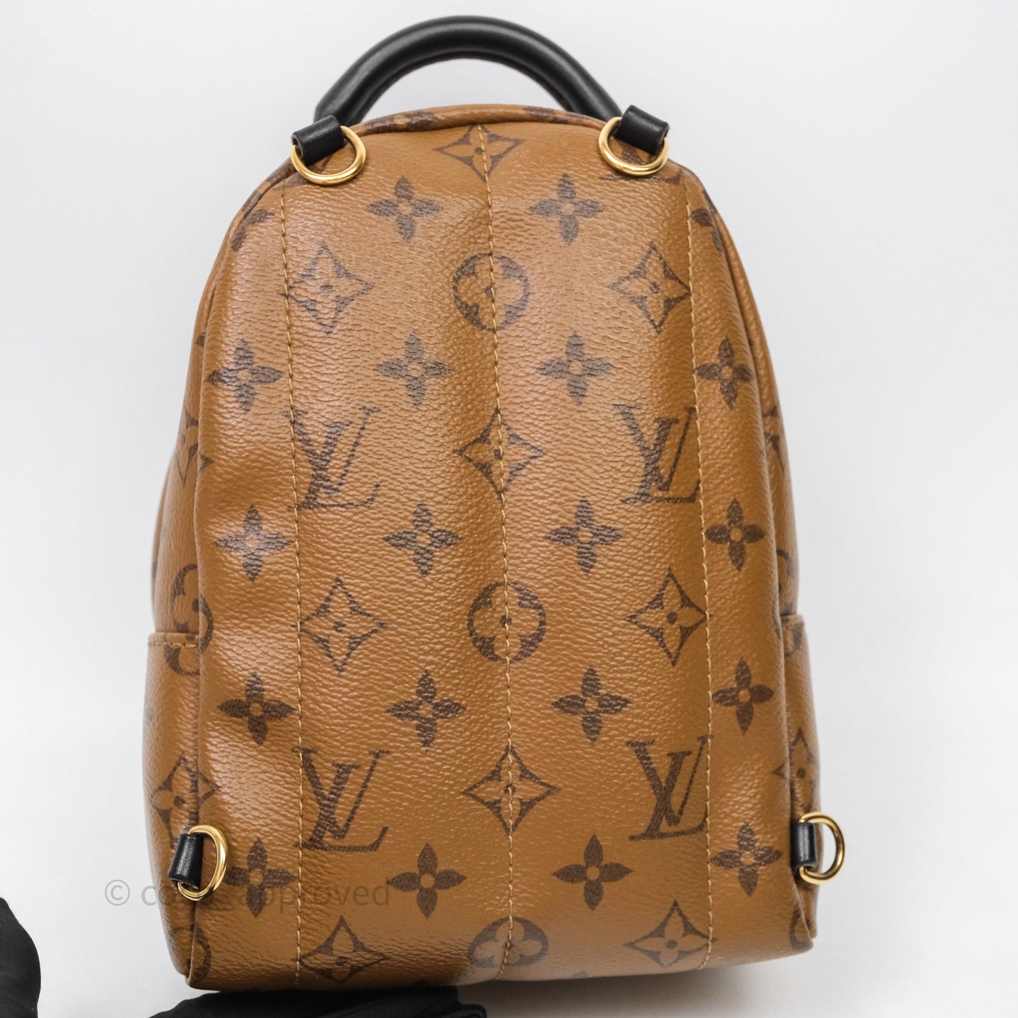 Louis Vuitton Mini Palm Springs Backpack Reverse Monogram
