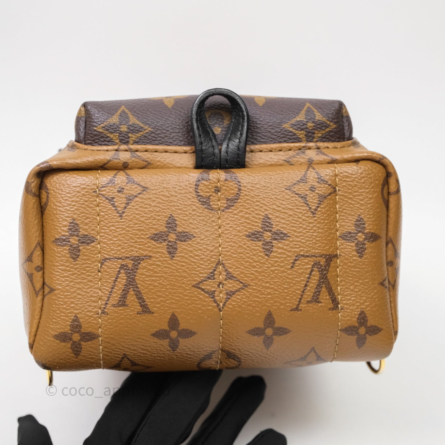 Louis Vuitton Mini Palm Springs Backpack Reverse Monogram