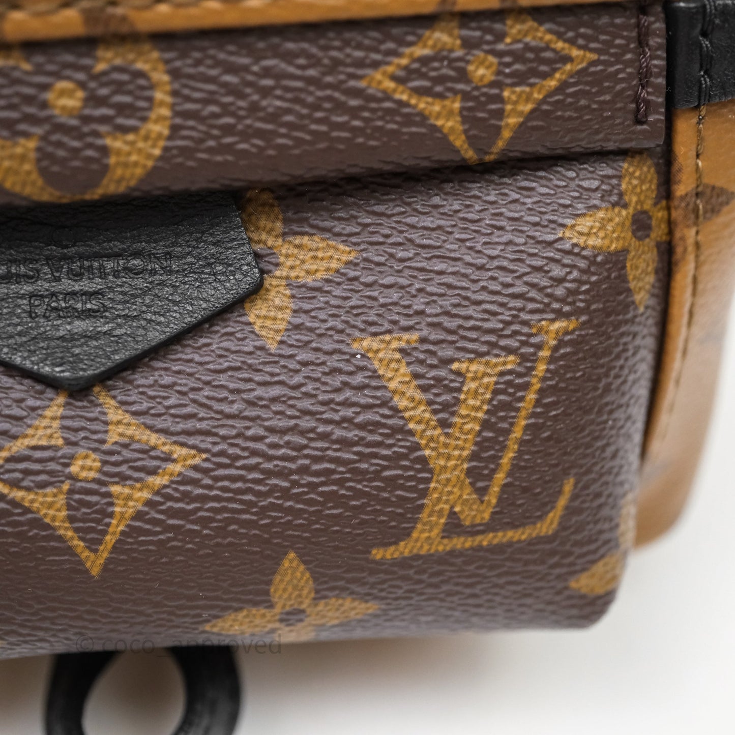 Louis Vuitton Mini Palm Springs Backpack Reverse Monogram