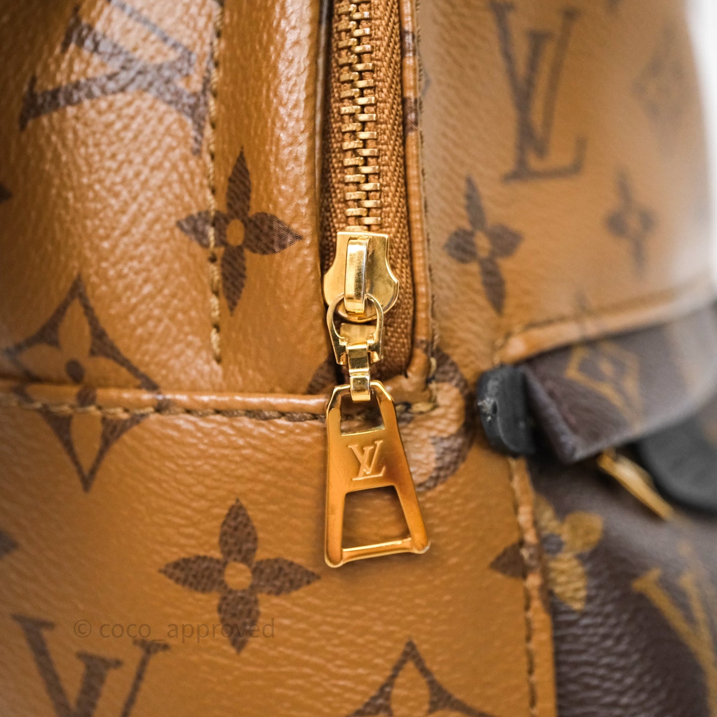 Louis Vuitton Mini Palm Springs Backpack Reverse Monogram