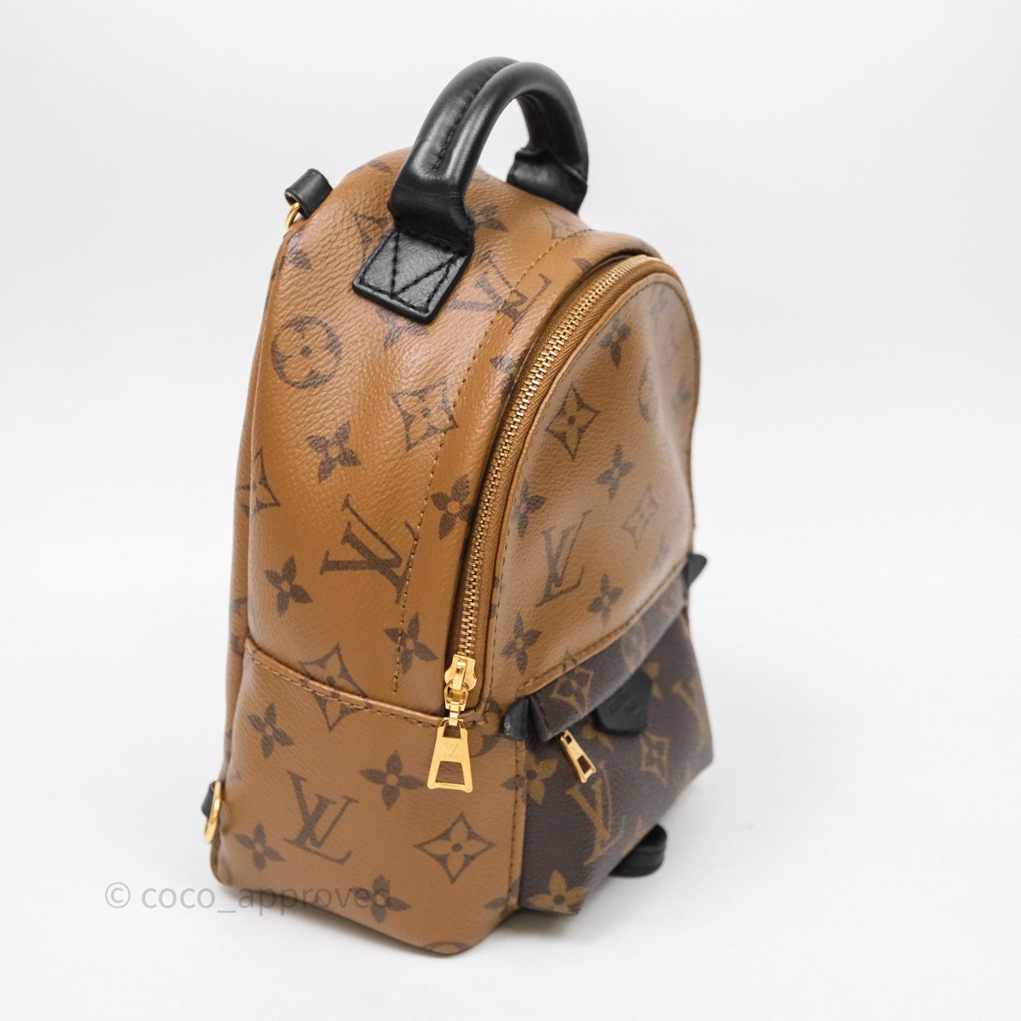 Louis Vuitton Mini Palm Springs Backpack Reverse Monogram