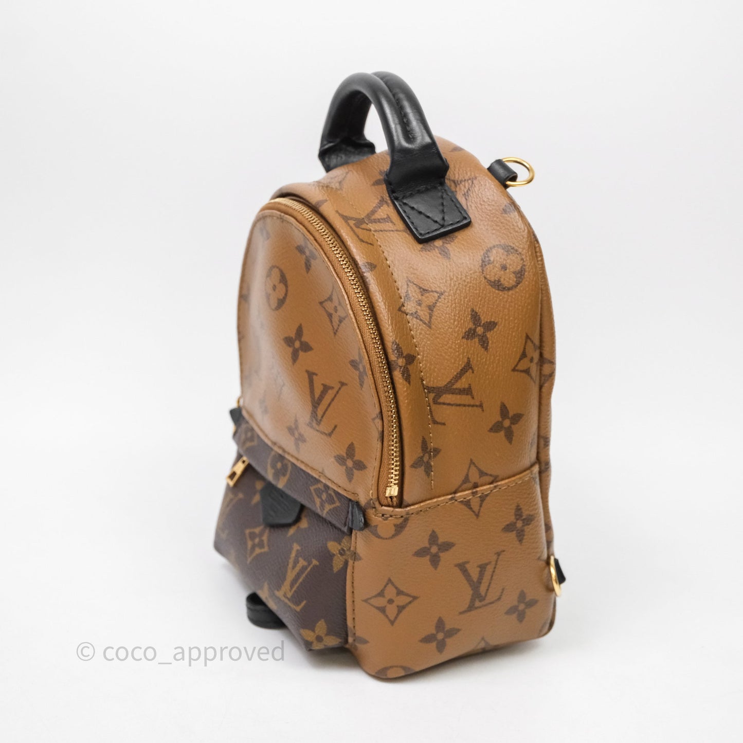 Louis Vuitton Mini Palm Springs Backpack Reverse Monogram