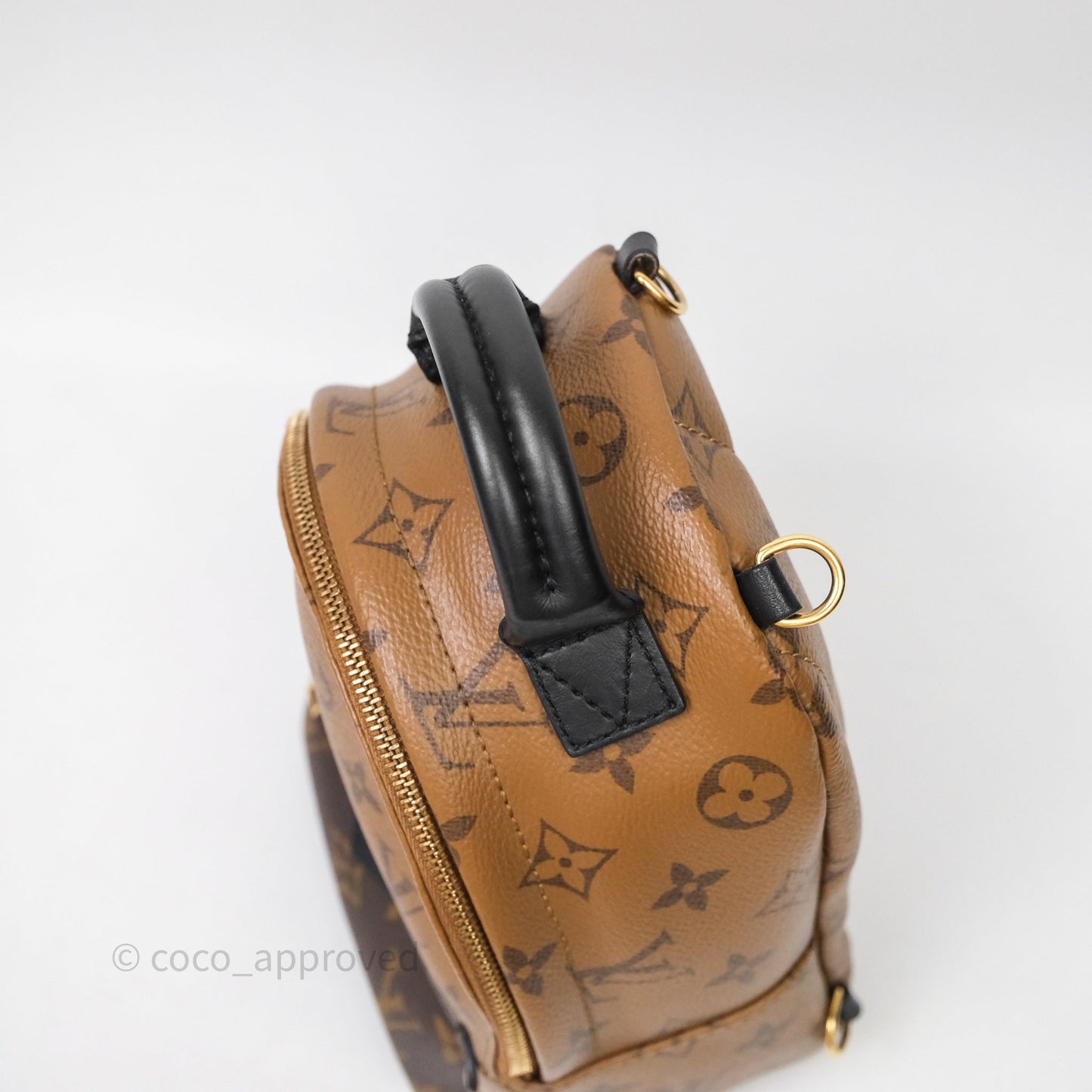 Louis Vuitton Mini Palm Springs Backpack Reverse Monogram