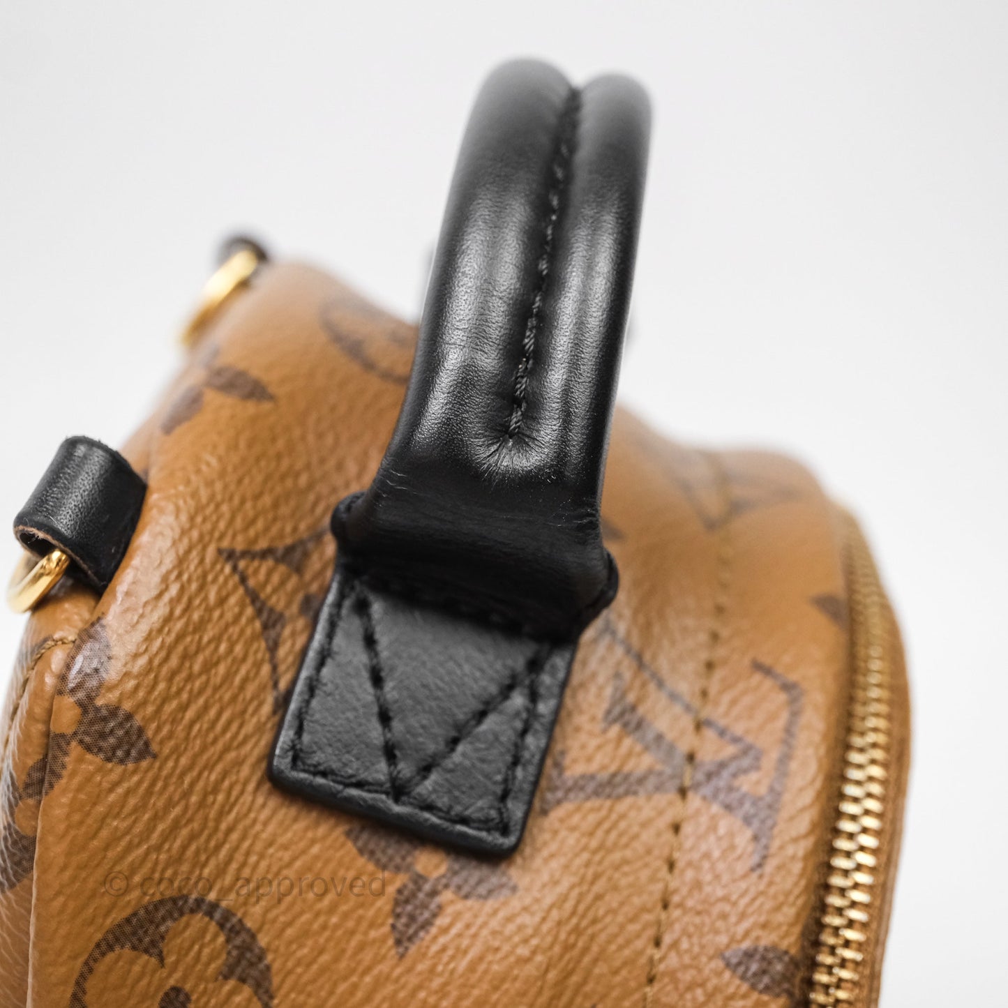 Louis Vuitton Mini Palm Springs Backpack Reverse Monogram
