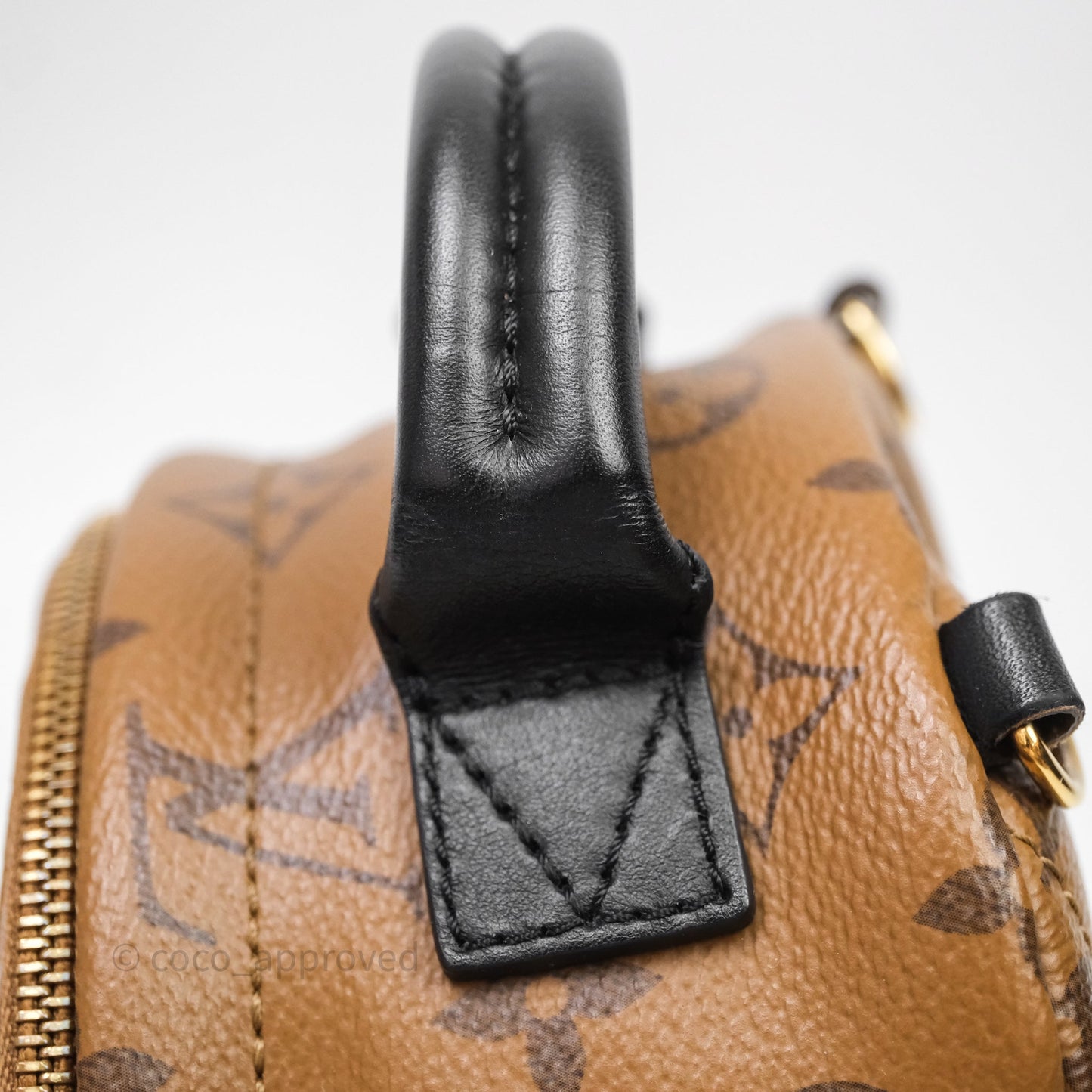 Louis Vuitton Mini Palm Springs Backpack Reverse Monogram