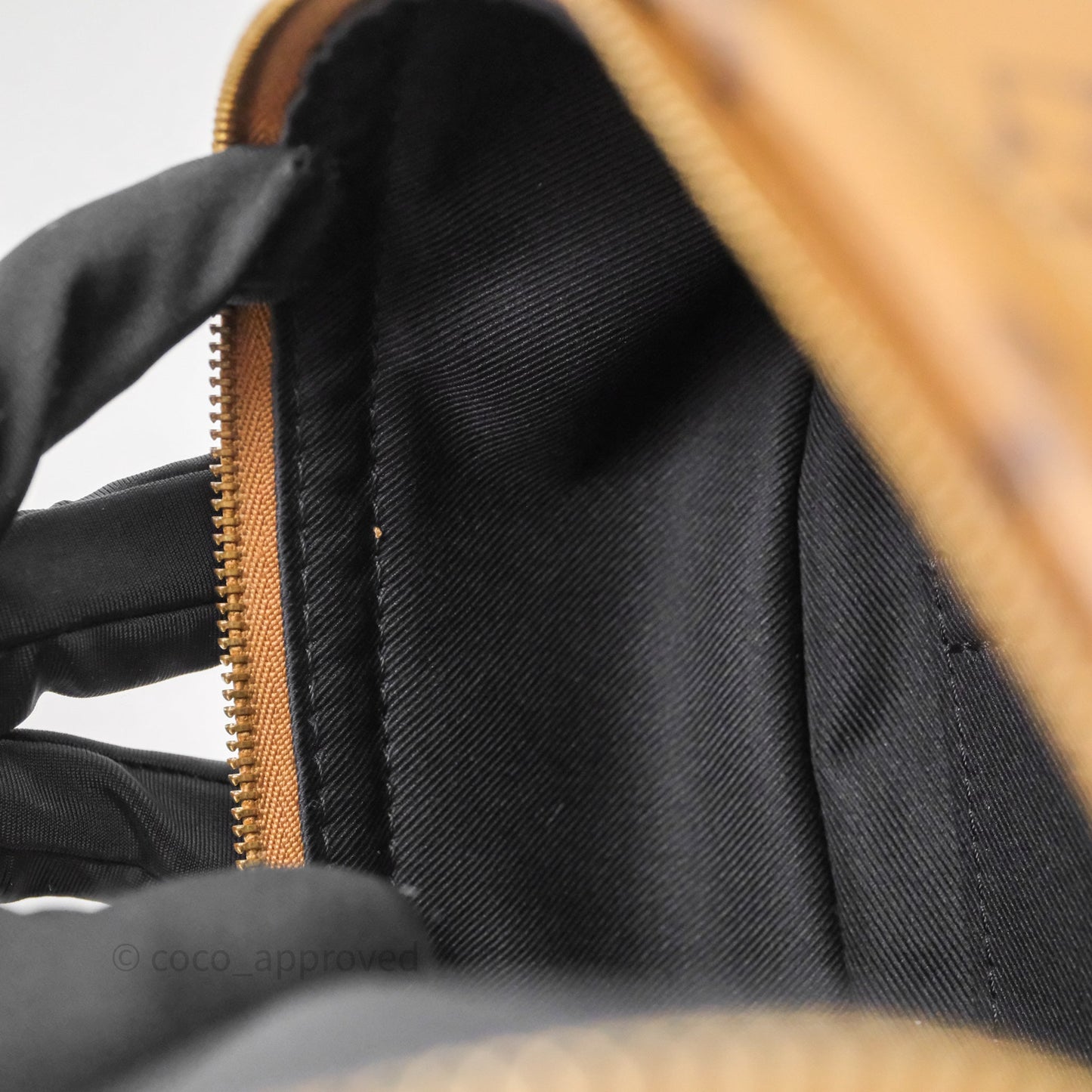 Louis Vuitton Mini Palm Springs Backpack Reverse Monogram