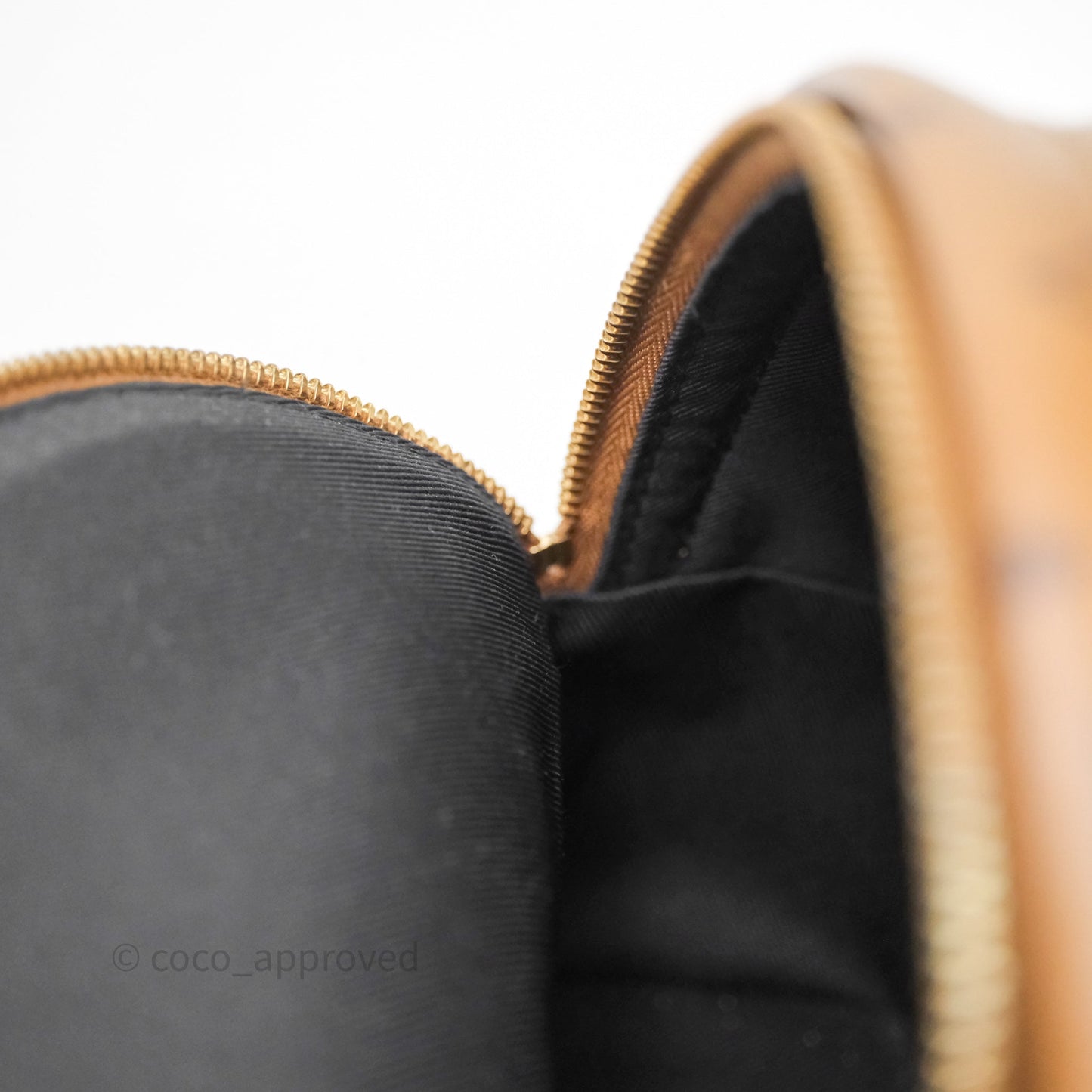 Louis Vuitton Mini Palm Springs Backpack Reverse Monogram