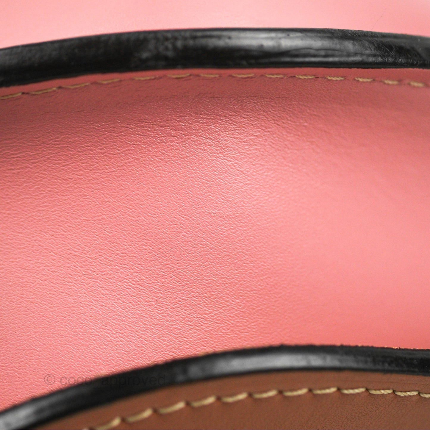 Loewe Small Gate Bag Smooth Calfskin in Tan/Pink