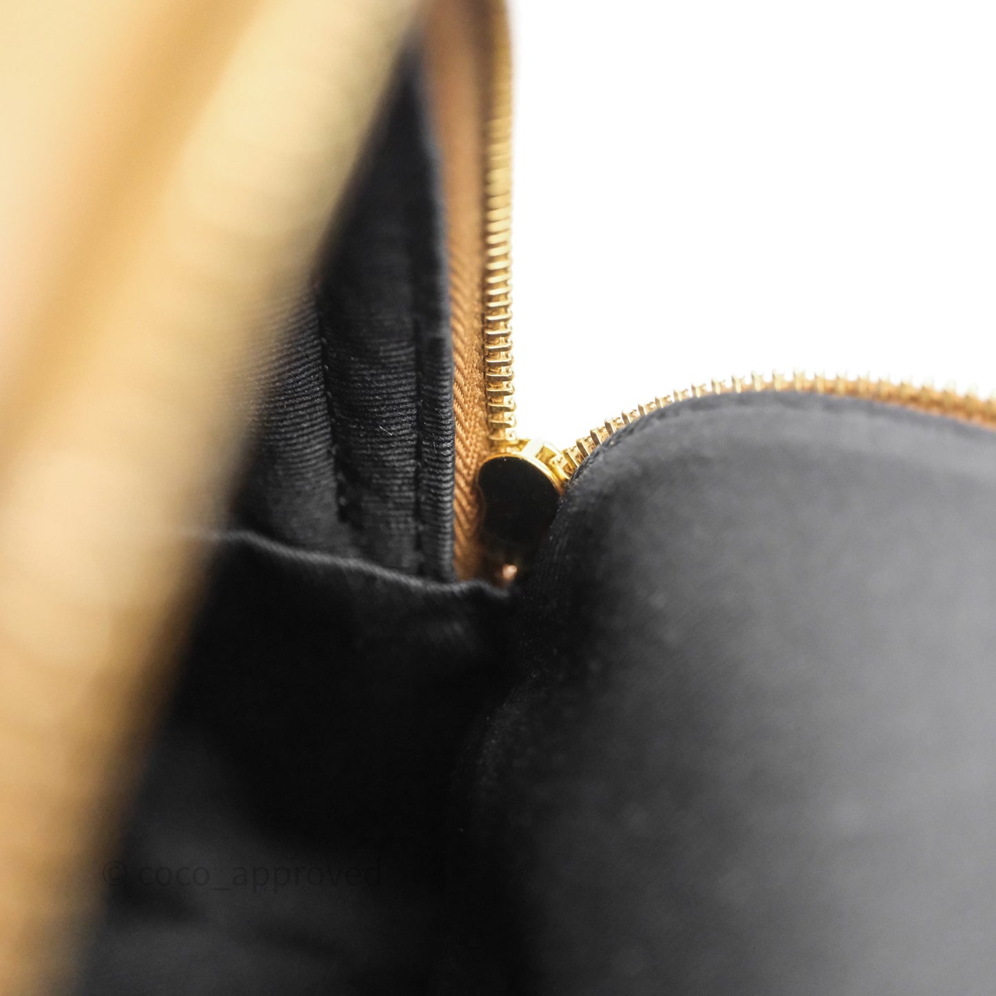 Louis Vuitton Mini Palm Springs Backpack Reverse Monogram