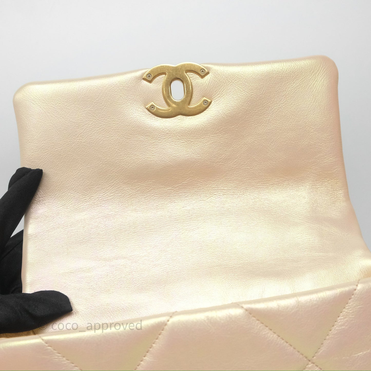Chanel 19 Small Iridescent Pink Mixed Hardware