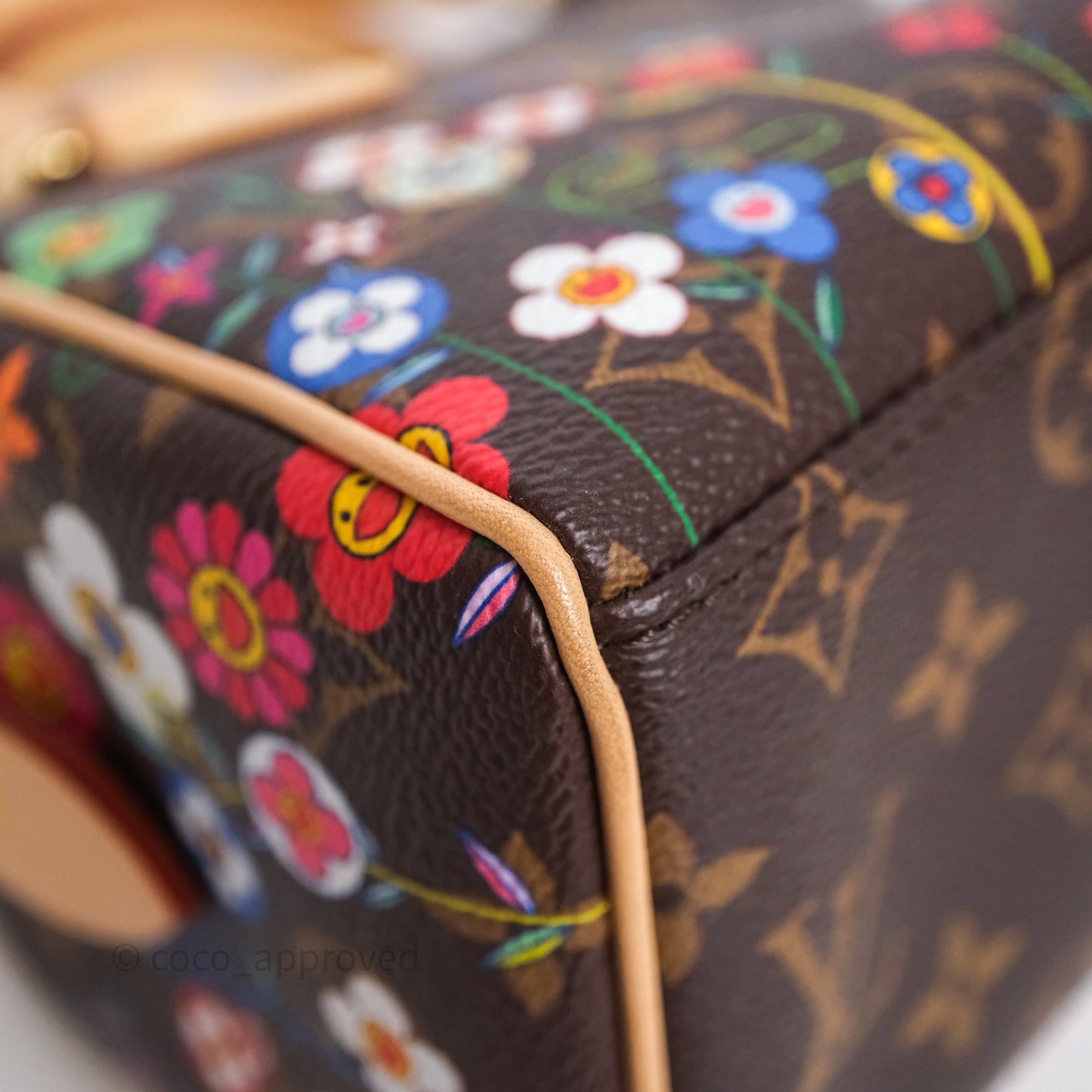 Louis Vuitton x Murakami Speedy Bandoulière 20 Monogram