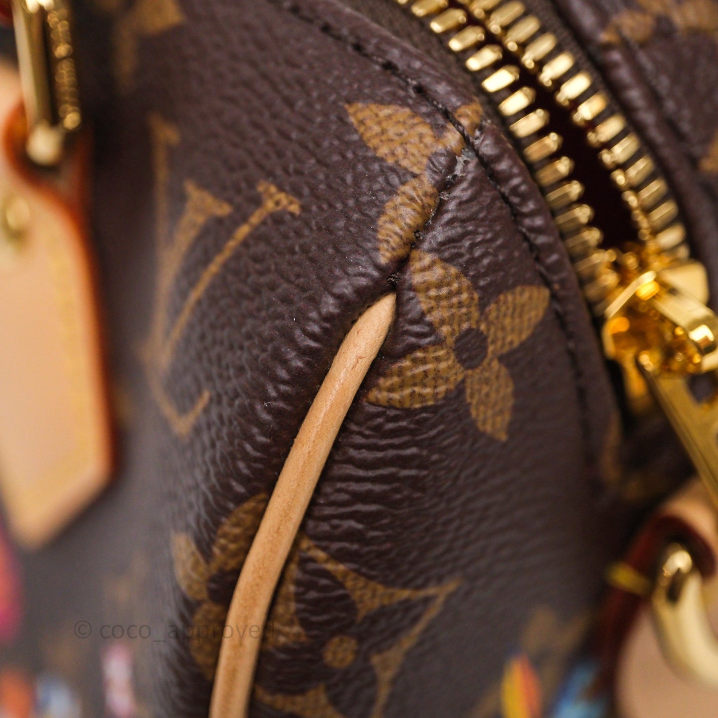Louis Vuitton x Murakami Speedy Bandoulière 20 Monogram