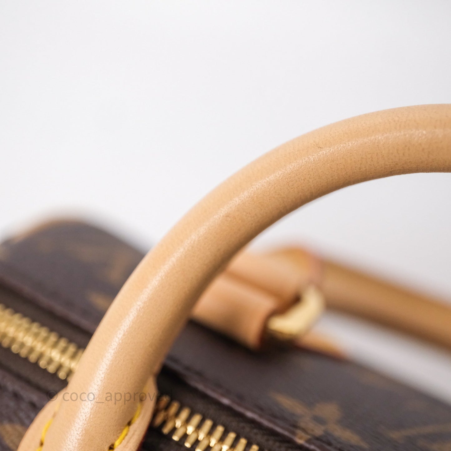 Louis Vuitton x Murakami Speedy Bandoulière 20 Monogram