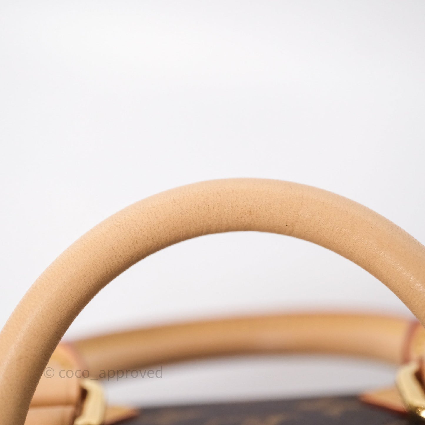 Louis Vuitton x Murakami Speedy Bandoulière 20 Monogram