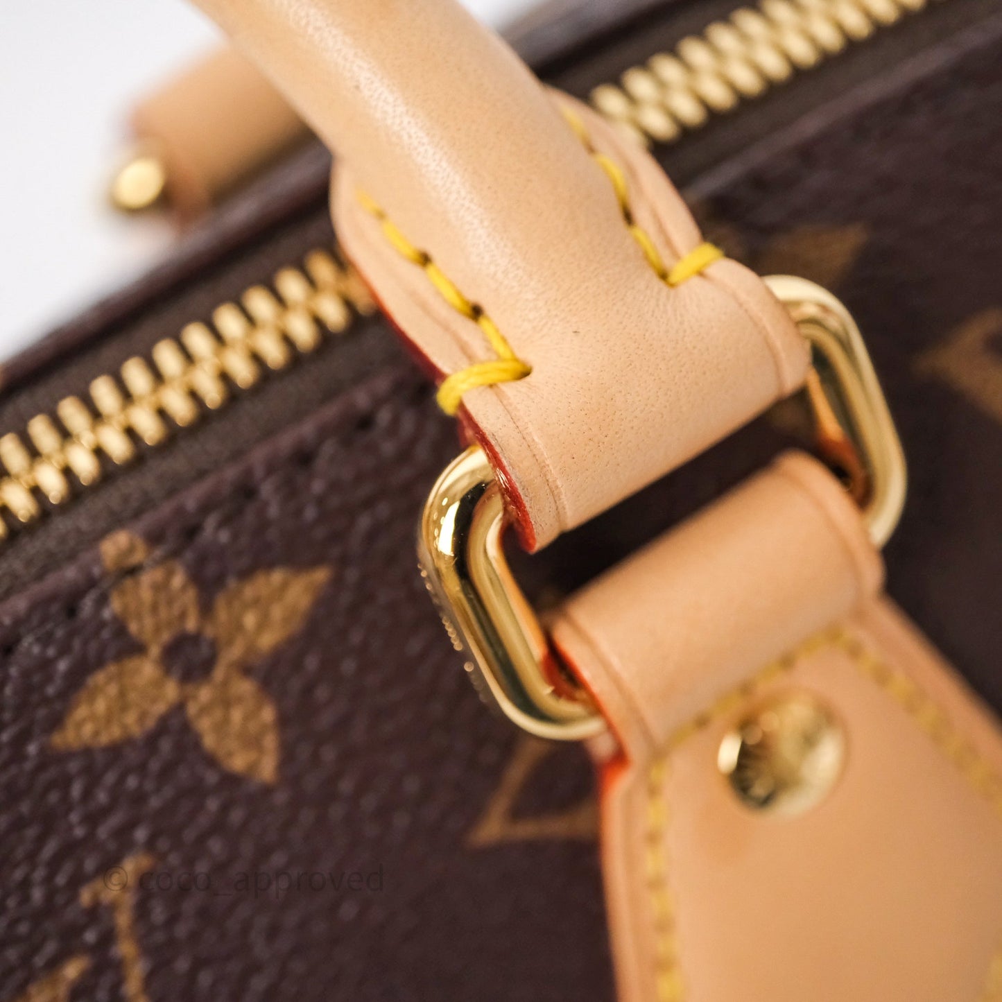 Louis Vuitton x Murakami Speedy Bandoulière 20 Monogram