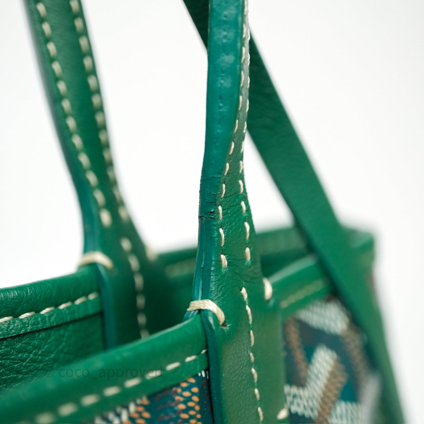 Goyard Anjou Mini Bag Goyardine Canvas Green