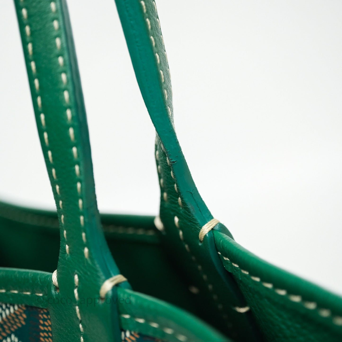 Goyard Anjou Mini Bag Goyardine Canvas Green