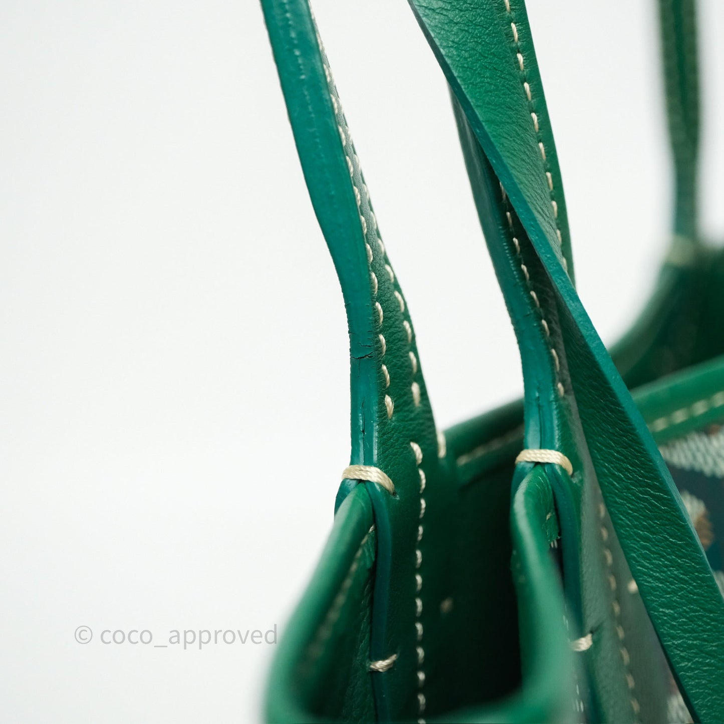 Goyard Anjou Mini Bag Goyardine Canvas Green