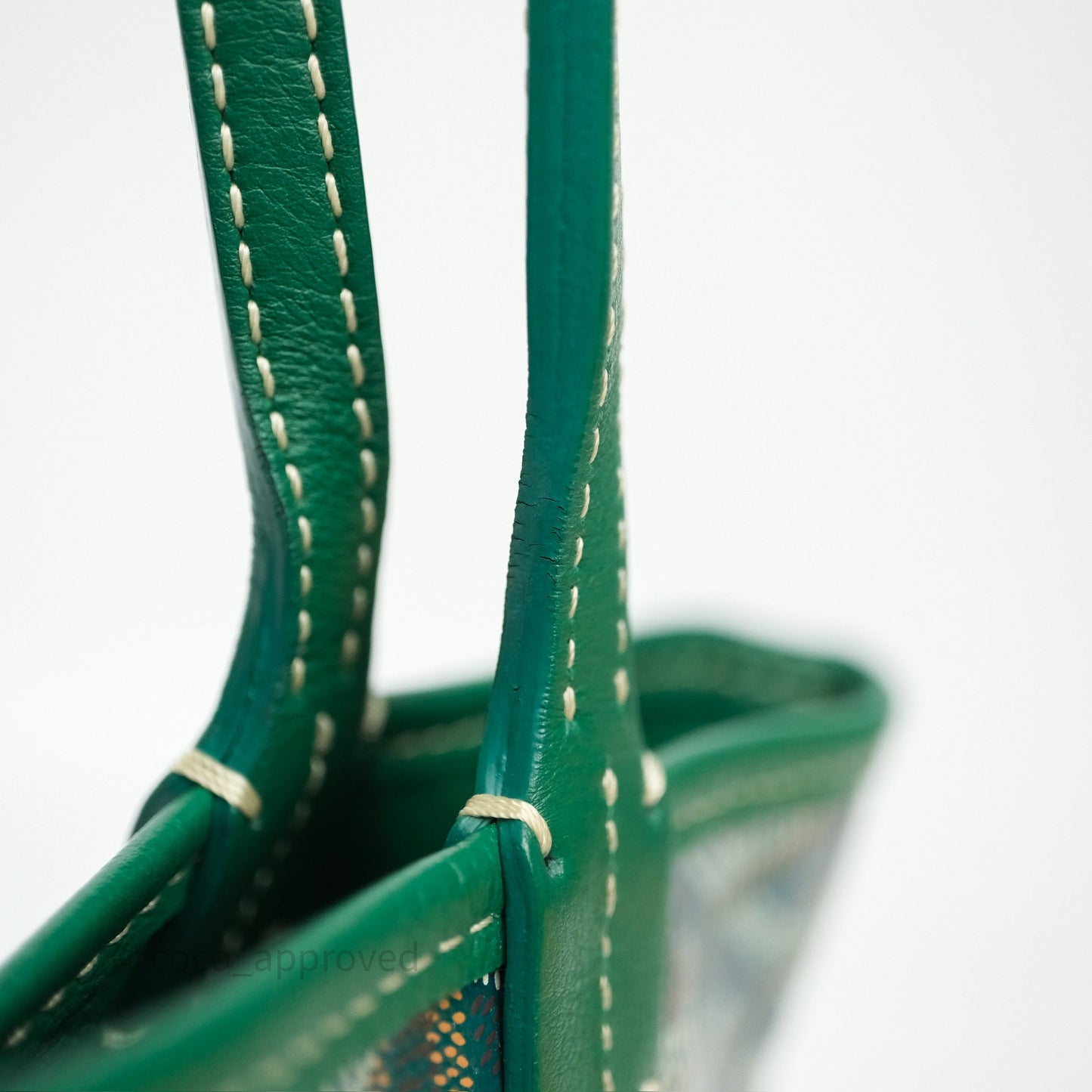 Goyard Anjou Mini Bag Goyardine Canvas Green